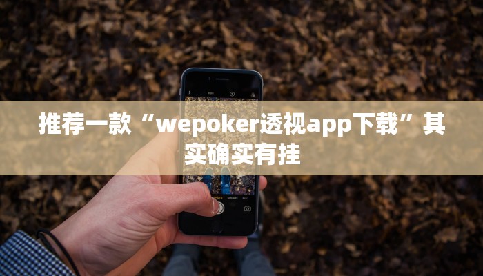 实测教程”hhpoker透视作弊软件”(原来确实是有挂)