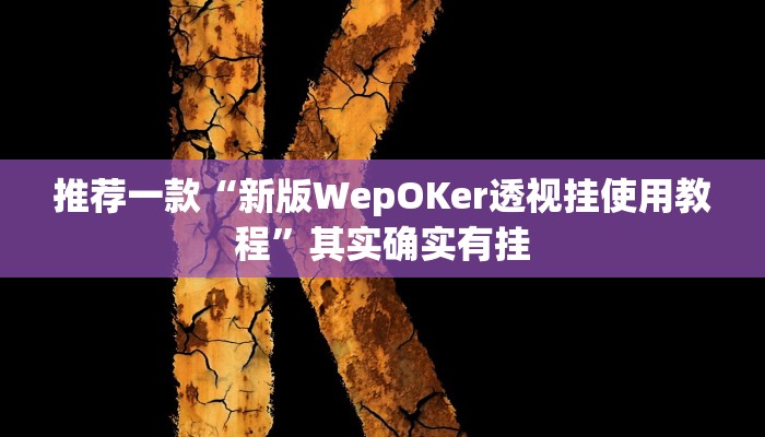 实测教程”wepoker透视开挂辅助挂”(原来确实是有挂)
