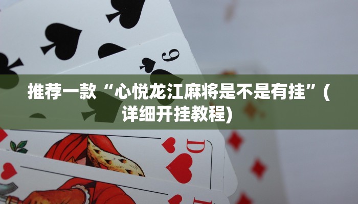 实测教程”皮皮衡阳字牌有挂吗”(原来确实是有挂)