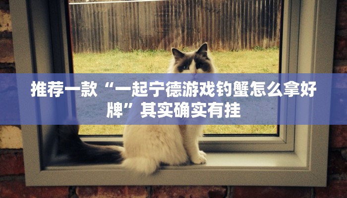 实测教程”(WePoKer)确定可以透视的”(原来确实是有挂)
