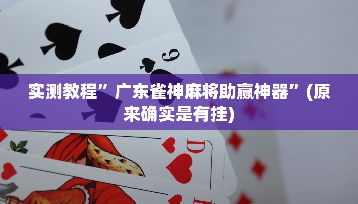辅助神器“功夫川麻透视挂辅助”其实确实有挂