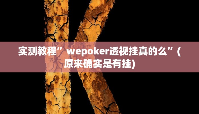 开挂辅助工具“人皇大厅辅助挂专用版”其实确实有挂
