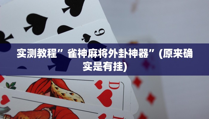 辅助神器“吉祥棋牌斗地主填大坑透视”其实确实有挂