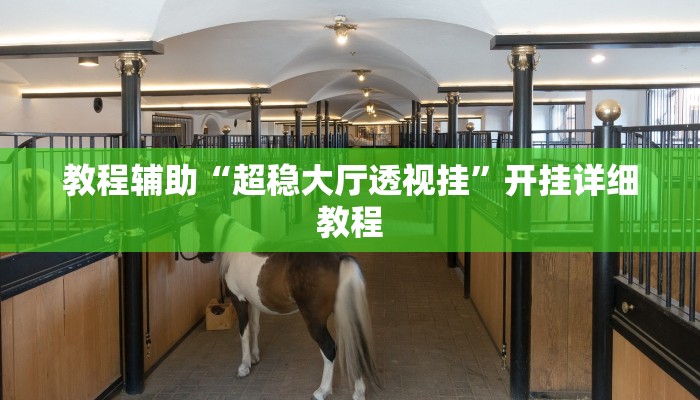 实测教程”新珊瑚大厅透视挂”(原来确实是有挂)