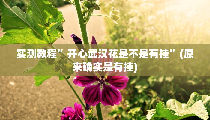 开挂辅助工具“财神十三张开挂神器下载”其实确实有挂