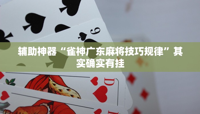 开挂辅助工具“中至上饶打炸开挂神器”其实确实有挂