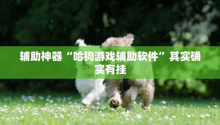 实测教程”程闲逸跑得快透视挂”(原来确实是有挂)