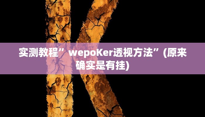 辅助神器“情怀麻将开挂必赢神器”其实确实有挂