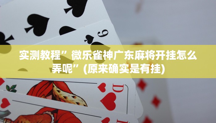 实测辅助”乐乐上海麻将怎么开挂”详细开挂教程