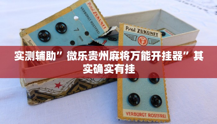 实测教程”皮皮跑胡子透视神器”(原来确实是有挂)