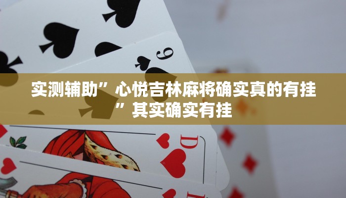 开挂辅助工具“开心联盟安装透视挂”详细开挂教程