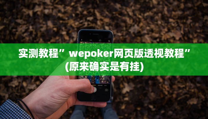 实测辅助”超稳大厅透视挂”其实确实有挂