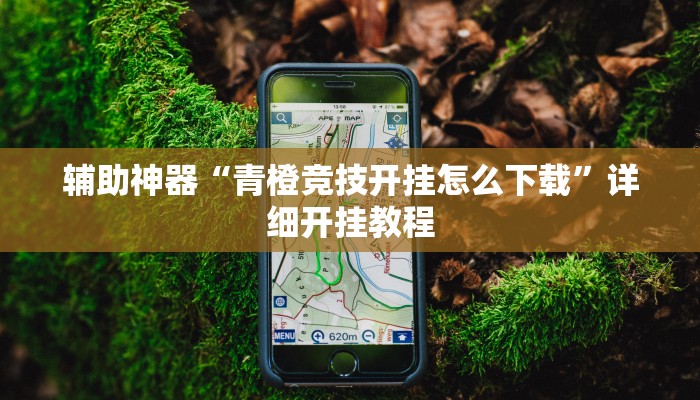 辅助神器“白金岛字牌集到底有没有挂”详细开挂教程