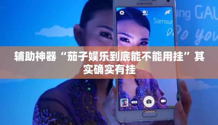 辅助神器“新毛豆可以开挂吗”其实确实有挂