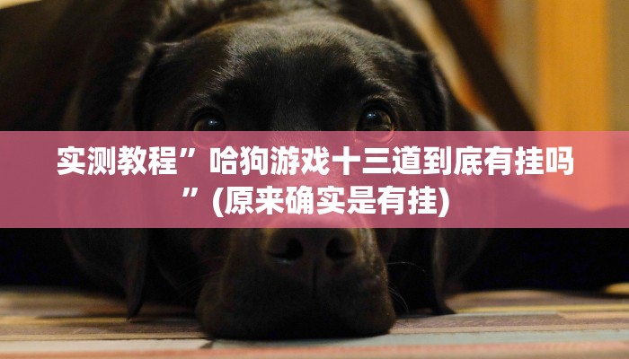 开挂辅助工具“微乐刨幺怎么开挂”其实确实有挂
