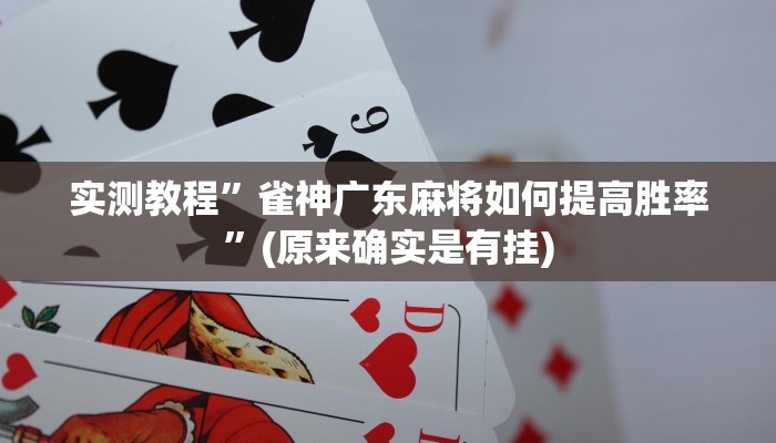 实测教程”指尖广东麻将到底有没有挂”(原来确实是有挂)