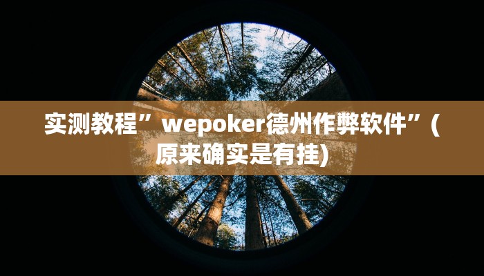 实测教程”Wepoker透视辅助挂方法”(原来确实是有挂)
