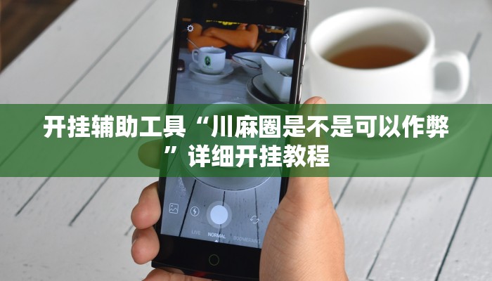 辅助神器“和和斗地主透视底牌”详细开挂教程