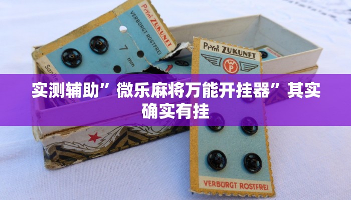 开挂辅助工具“堆金城陕西棋牌能用挂吗”其实确实有挂