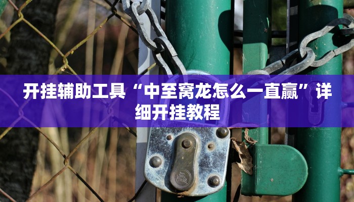 开挂辅助工具“闲逸碰胡开挂神器”其实确实有挂