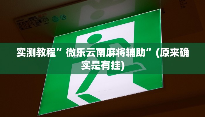 辅助神器“畅享新娱辅助器下载”其实确实有挂