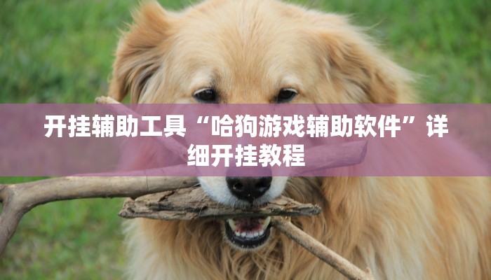实测辅助”微乐捉鸡麻将小程序开挂神器下载安装”其实确实有挂