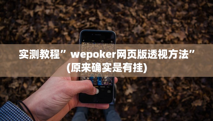 辅助神器“旺旺冲击麻将开挂器下载安装”其实确实有挂