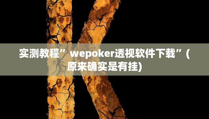 开挂辅助工具“wepoker德州辅助软件挂”其实确实有挂