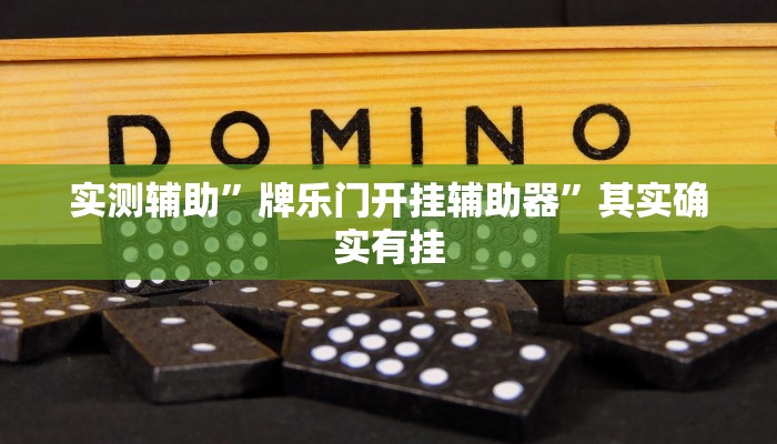 开挂辅助工具“麻友圈安全版怎么开挂”其实确实有挂