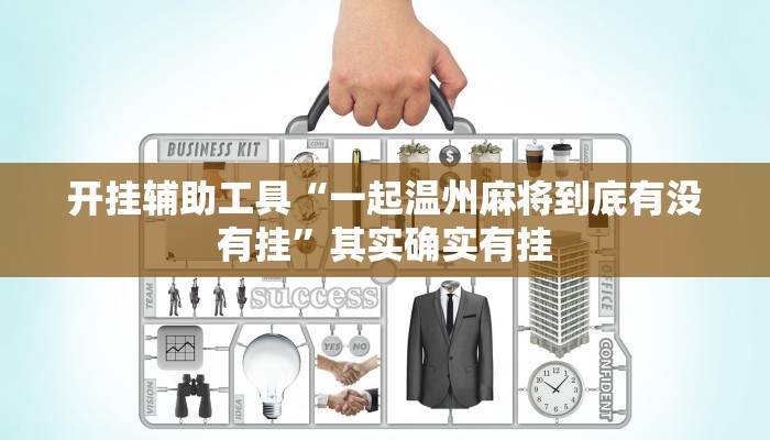 实测教程”HHpoker辅助挂透视软件”(原来确实是有挂)