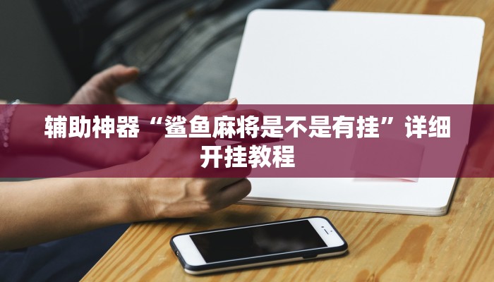 辅助神器“闽游十三水开挂”其实确实有挂
