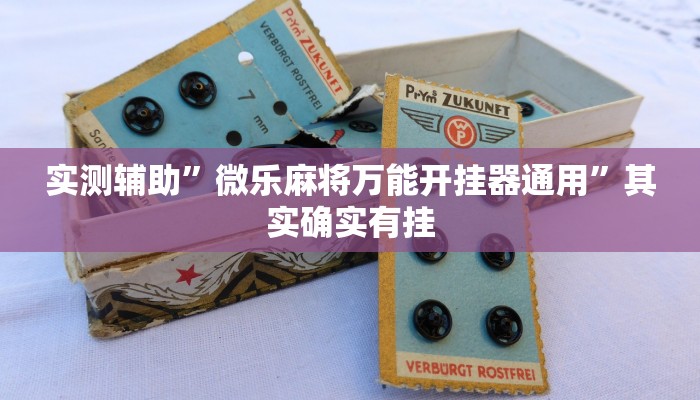 实测教程”德扑之星辅助工具使用教程”(原来确实是有挂)