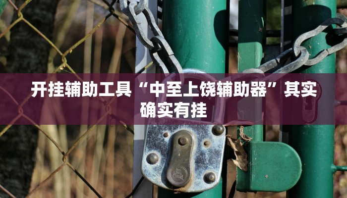 辅助神器“山西扣点点怎么开挂”其实确实有挂