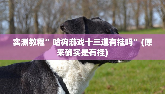 实测教程”德扑之星真的有透视吗”(原来确实是有挂)