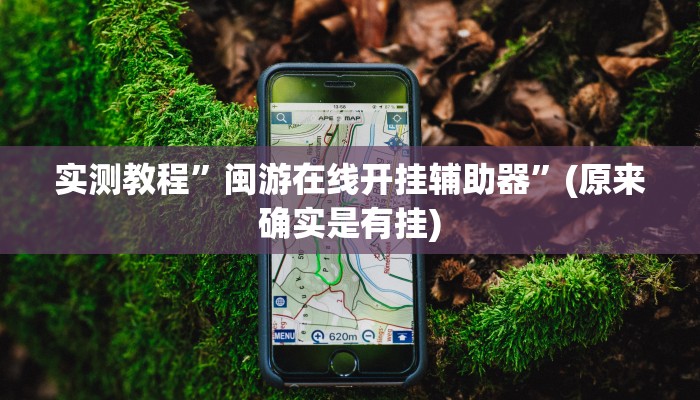 开挂辅助工具“江南苑苑真的确实有挂”详细开挂教程