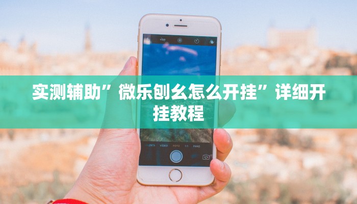 辅助神器“东南剥皮确实真的有挂”其实确实有挂