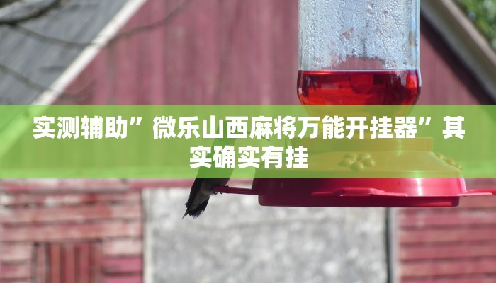 开挂辅助工具“微乐甘肃麻将万能开挂器”详细开挂教程