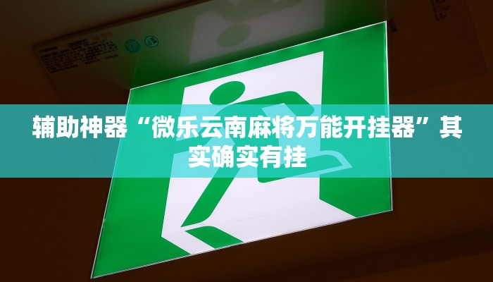辅助神器“新绍兴麻将可以开挂吗”详细开挂教程