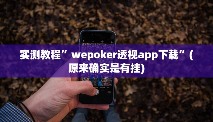 辅助神器“达人十三水怎么开挂”其实确实有挂
