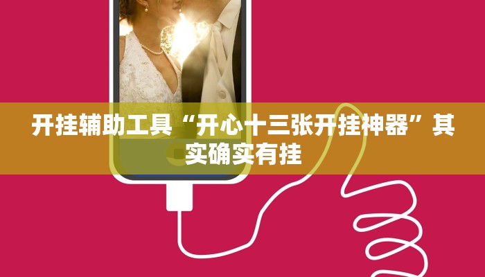 开挂辅助工具“广西十三水万能辅助器”详细开挂教程