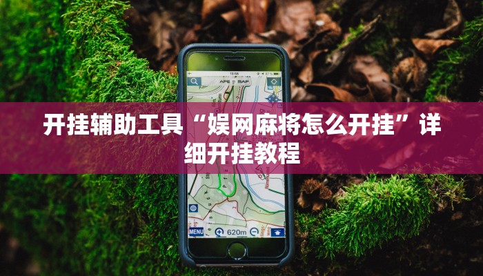 实测教程”钱塘十三水开挂神器”(原来确实是有挂)