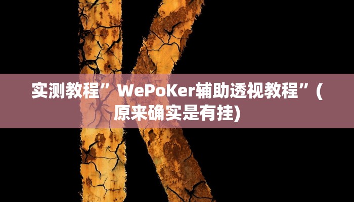实测教程”wepoker俱乐部作弊辅助方法”(原来确实是有挂)