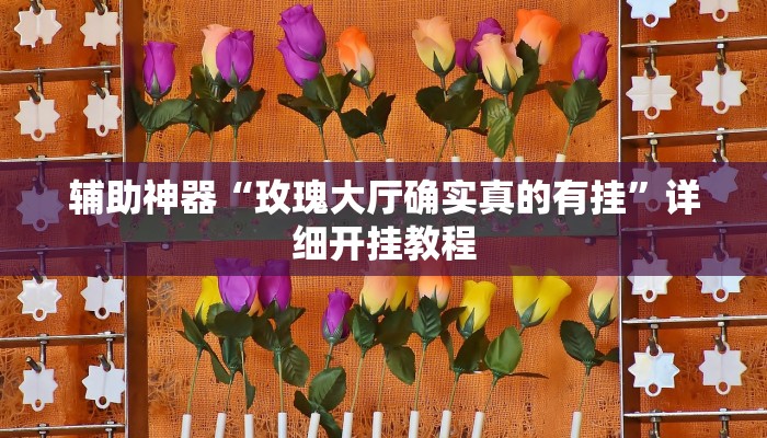 实测教程”hhpoker透视作弊软件”(原来确实是有挂)