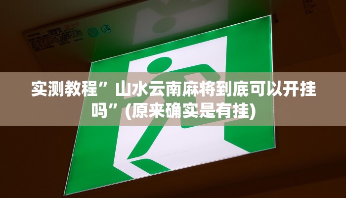 实测教程”德扑之星透视方法”(原来确实是有挂)