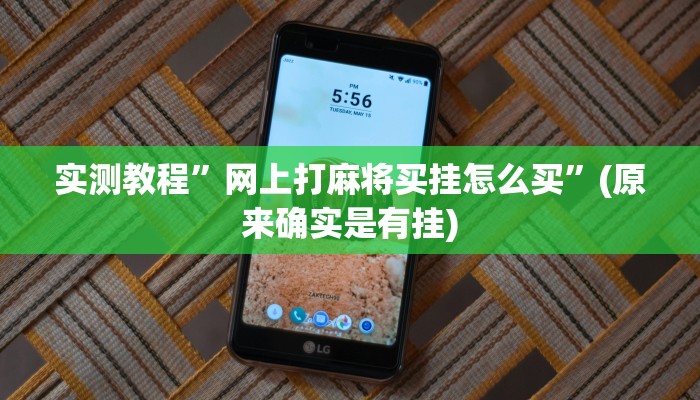 实测教程”WepoKer确定可以透视的”(原来确实是有挂)