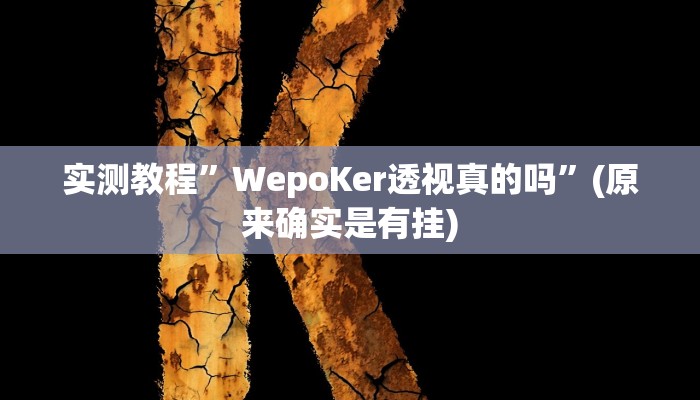 辅助神器“点点四川长牌透视开挂”详细开挂教程