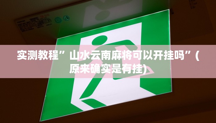 辅助神器“边锋干瞪眼有没有可能作弊”详细开挂教程