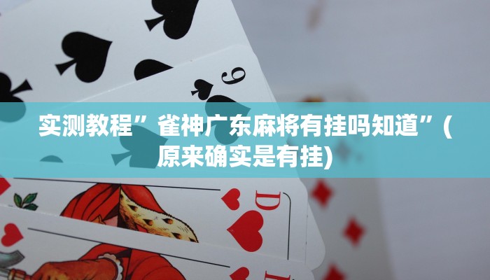 实测教程”乐乐安徽麻将开挂视频”(原来确实是有挂)