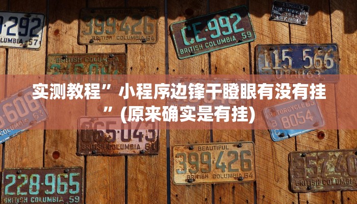 实测辅助”真人天天麻将开挂神器下载安装”其实确实有挂