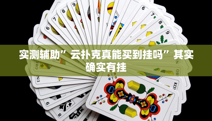 实测辅助”新玉海楼茶苑13张科技辅助”详细开挂教程